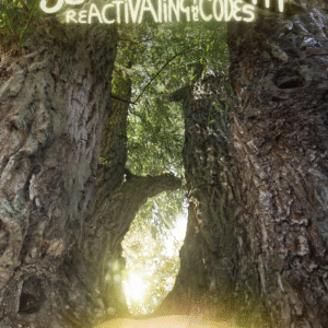 Seeds of Amaranth Book 2 – Re-activating the Codes